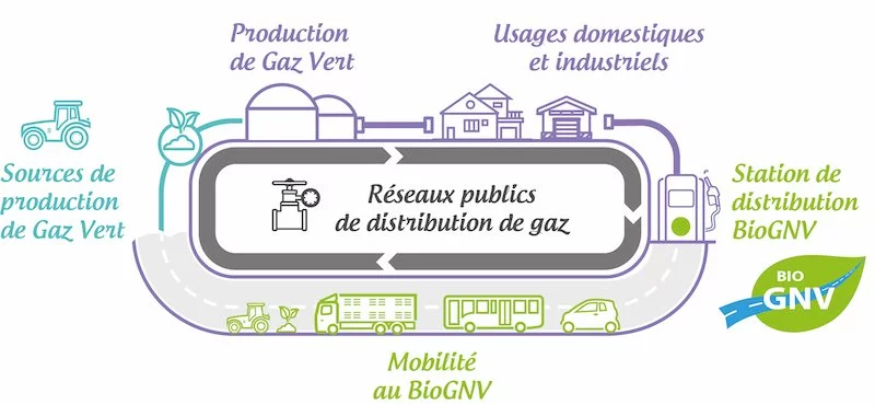 Réseaux de distribution de gaz