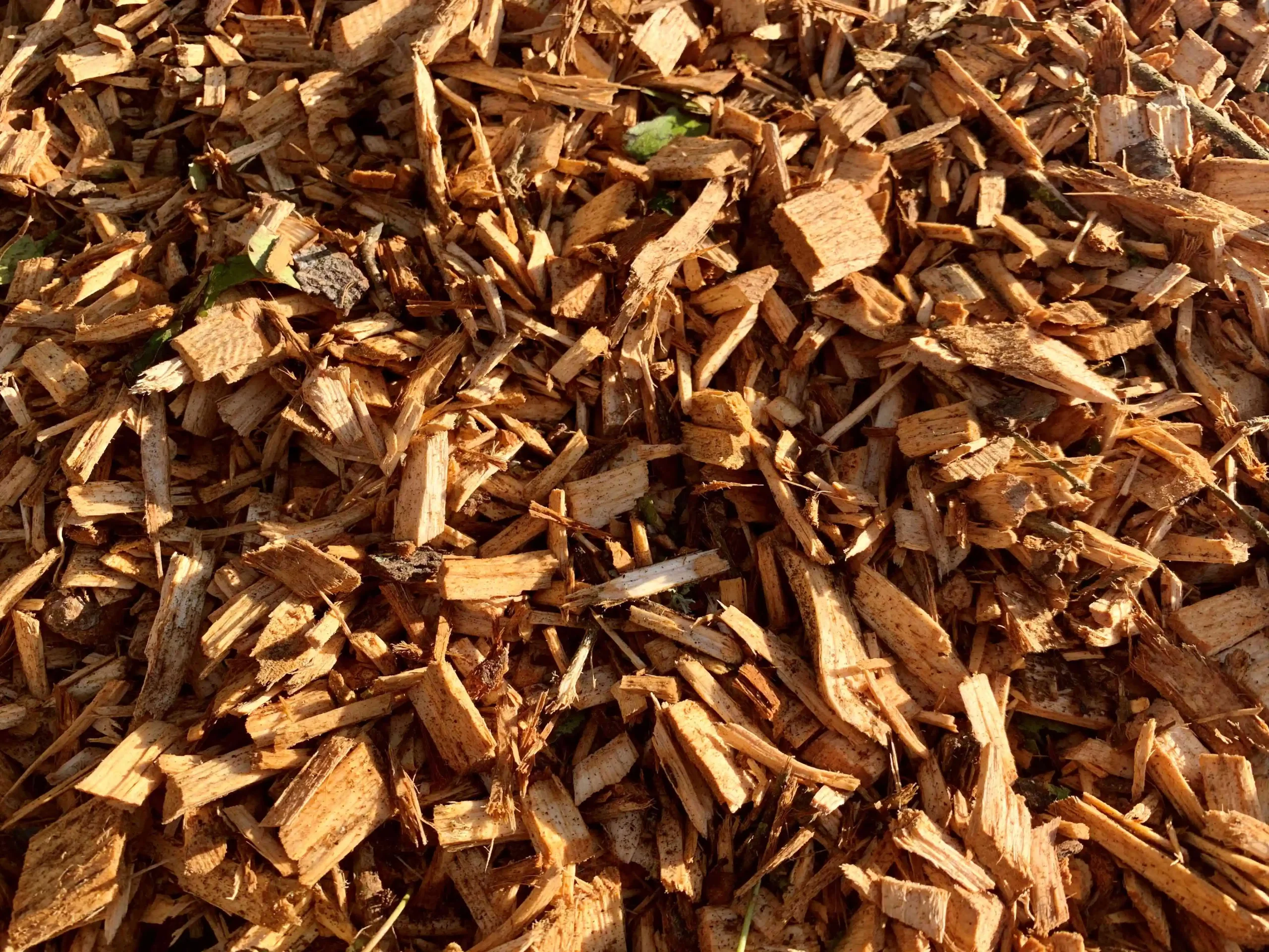 photo de copeaux de bois