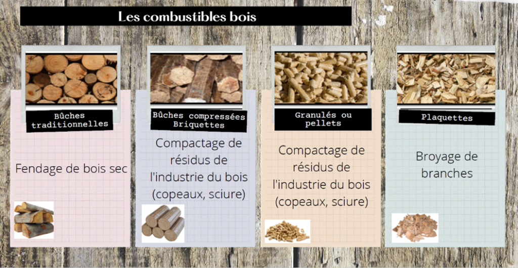 Photos des différents combustibles bois